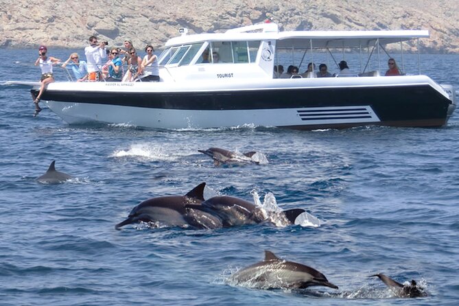 Experience Dolphin watching and snorkeling in Muscat - Key points at a glance