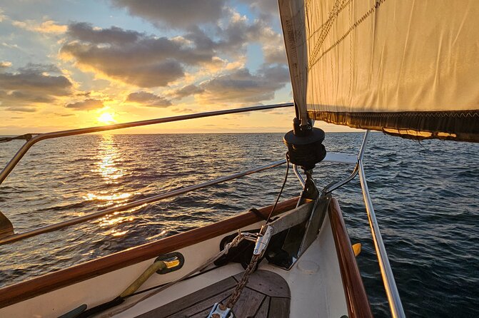 Experience Oceanside Sailing with Whales and dolphins! - Key points to know before sailing