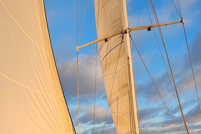 Experience Oceanside Sailing with Whales and dolphins! - Leaving Oceanside Harbor on Song of David