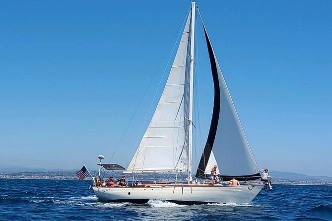 Experience Oceanside Sailing with Whales and dolphins! - What the two-hour route feels like