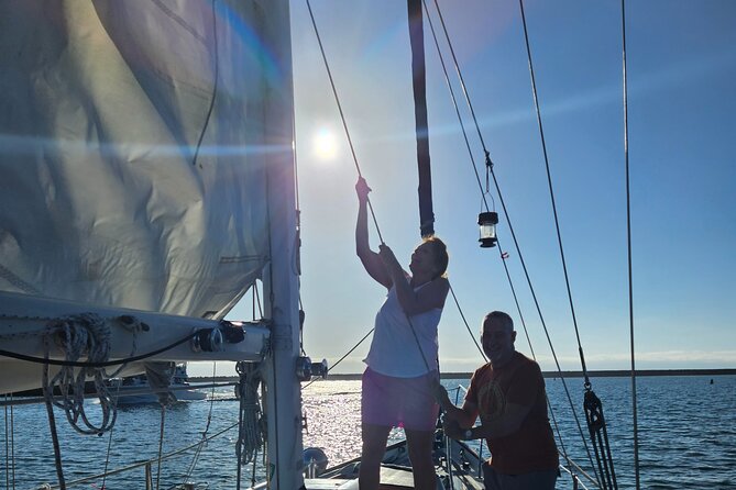 Experience Oceanside Sailing with Whales and dolphins! - Is $130 a fair price?
