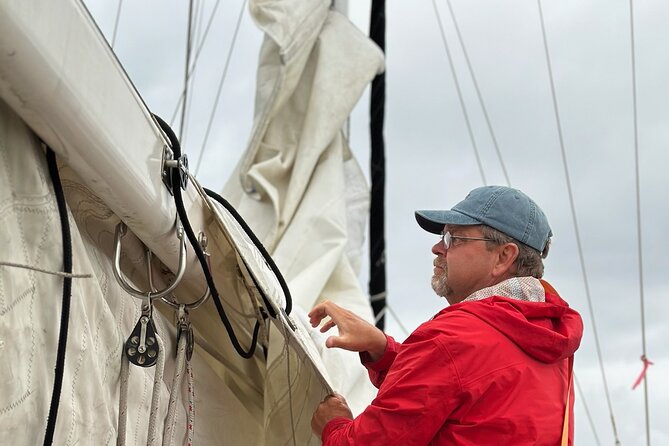 Experience Oceanside Sailing with Whales and dolphins! - Practical tips for a better day on the water