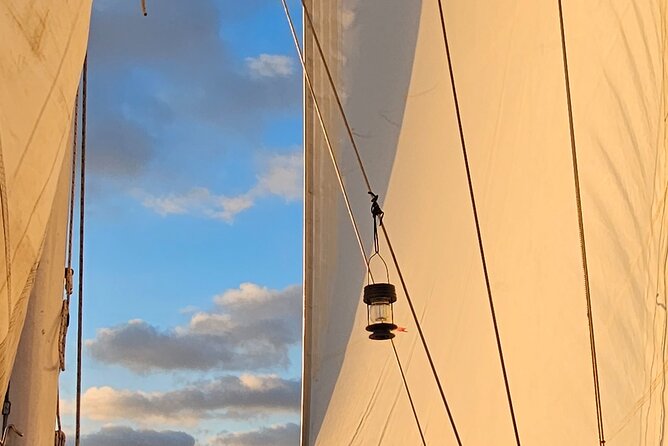 Experience Oceanside Sailing with Whales and dolphins! - Helping with the sails, or doing absolutely nothing