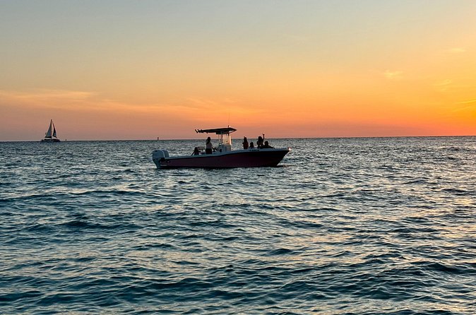 Experience Sunset and Dolphin Adventure in Panama - Who will enjoy this Panama City Beach outing