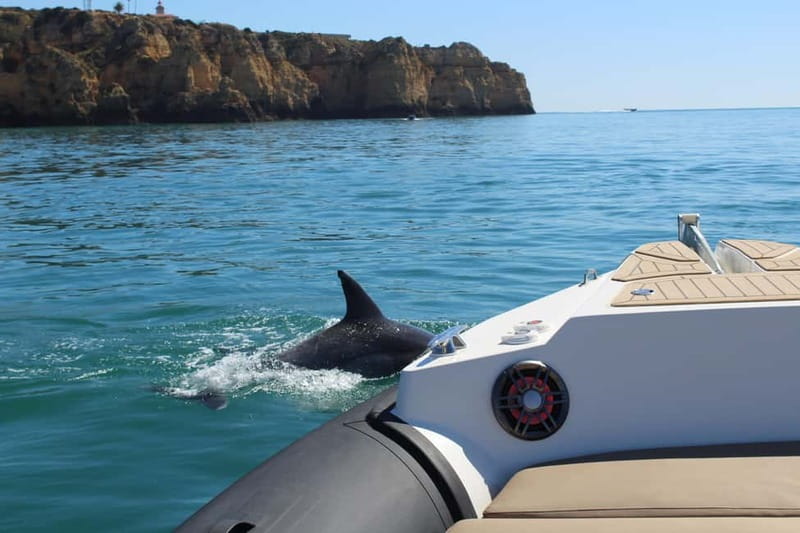 Explore Benagil, Ponta da Piedade and Dolphins in Algarve - Key points at a glance