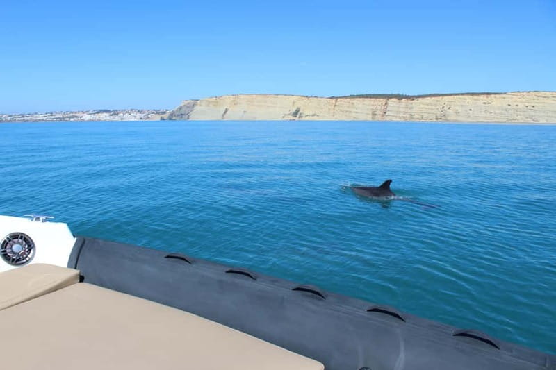 Explore Benagil, Ponta da Piedade and Dolphins in Algarve - The crew and the feel of the ride