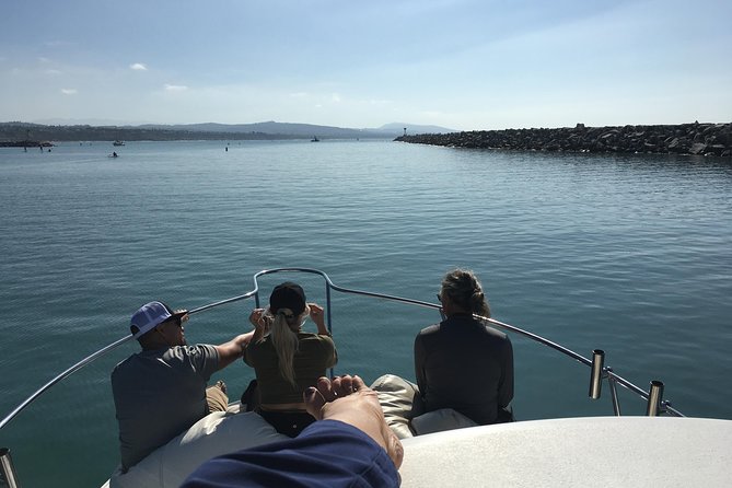 Family and Private Group Whale and Dolphin Watching - Searching the California coast for dolphins and whales