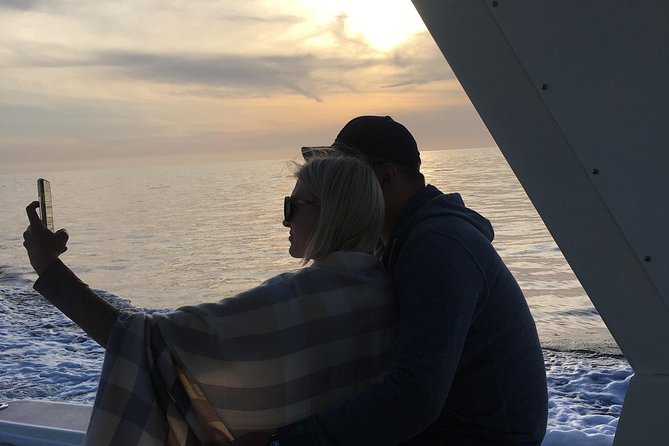 Family and Private Group Whale and Dolphin Watching - Morning or afternoon: choosing your departure