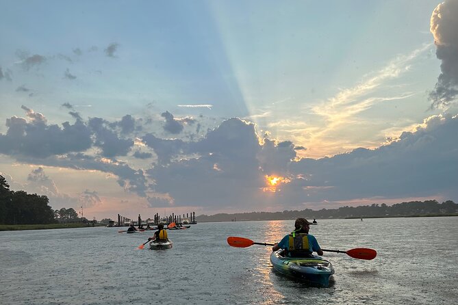 Family Friendly Dolphin Nature Kayak Tours in Hilton Head - Weather, fitness, and family comfort