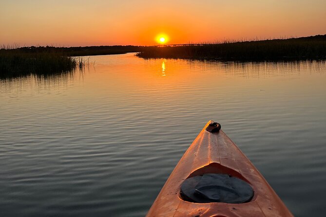 Family Friendly Dolphin Nature Kayak Tours in Hilton Head - What happens when dolphins do not show up