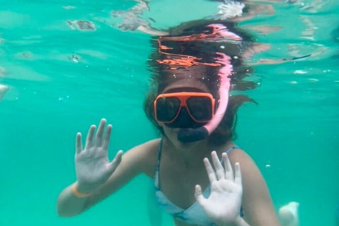 Family-Friendly Snorkeling and Dolphin Tour from FWB - Dolphin watching and Gulf wildlife