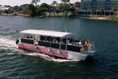 Family-Friendly Snorkeling and Dolphin Tour from FWB