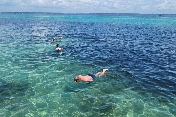 Family-Friendly Snorkeling and Dolphin Tour from FWB - Practical details that can save you trouble