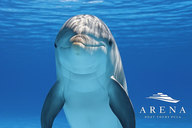 Fantastic DOLPHIN & SUNSET TOUR with dinner ( Pula-NP BRIJUNI ) - Why this Pula cruise offers good value
