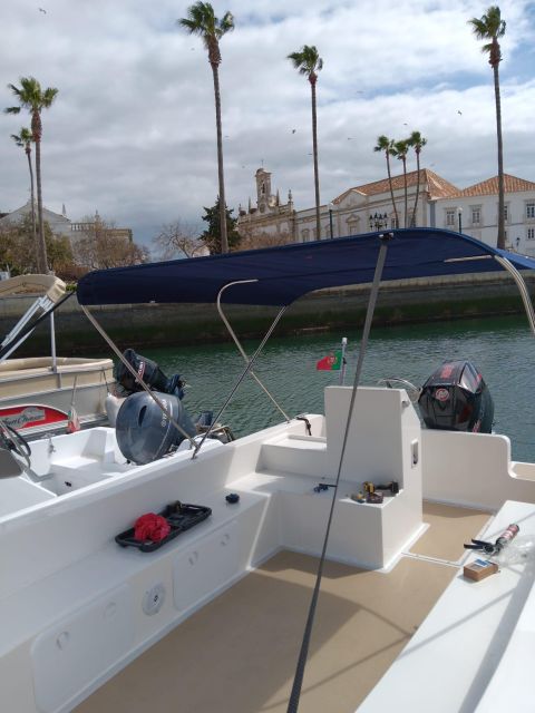 Faro: Dolphin and Marine Life Watching Boat Tour - From Faro Marina to the open sea