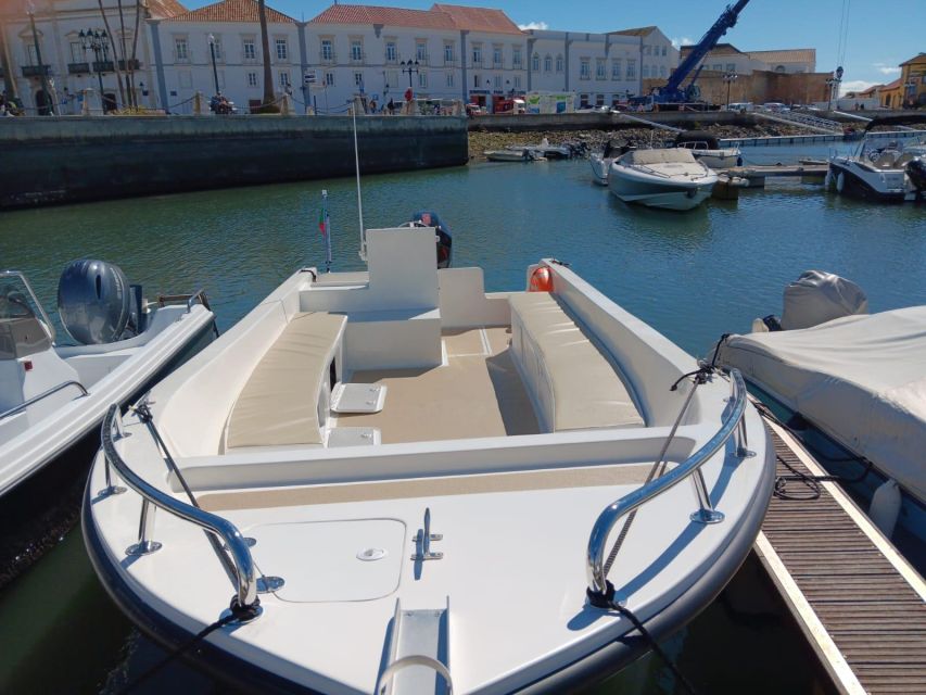 Faro: Dolphin and Marine Life Watching Boat Tour - Farol Island gives the trip a pause