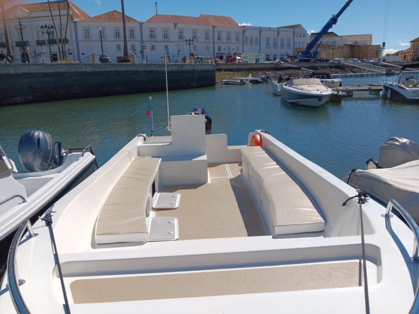 Faro: Dolphin and Marine Life Watching Boat Tour - Who will enjoy this boat tour most