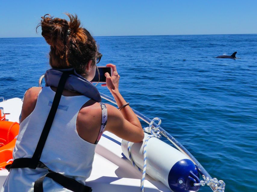 Faro: Dolphin and Wildlife Watching in the Atlantic Ocean - Thirty minutes with a dolphin pod