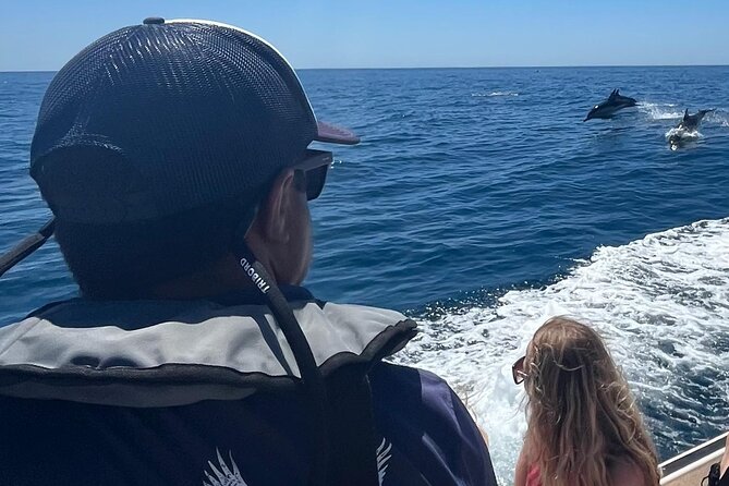 FARO Fantastic Dolphin Observation Tour and Marine Life - Leaving Faro through the Ria Formosa