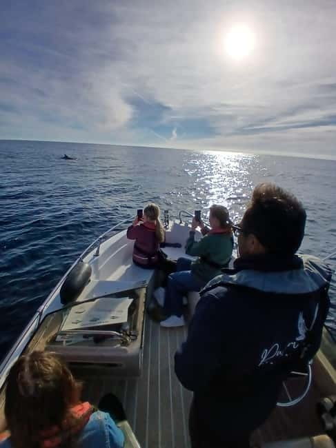 Faro: Funtastic Dolphin Watching Boat Tour - Is $70 a Fair Price?