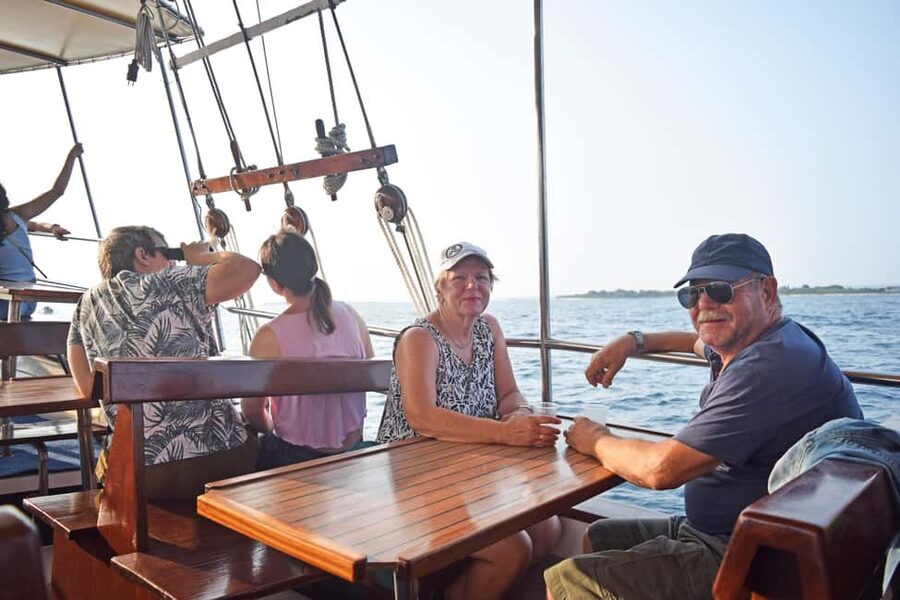 Fazana: Dolphin Finder in Brijuni islands Safari with Dinner - The dolphin-watching portion