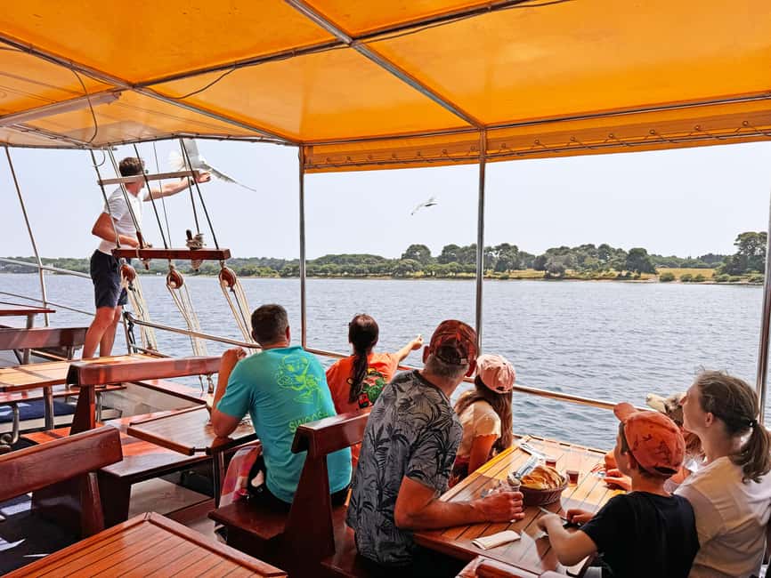 Fazana: Dolphin Finder in Brijuni islands Safari with Dinner - What happens at the Fažana meeting point