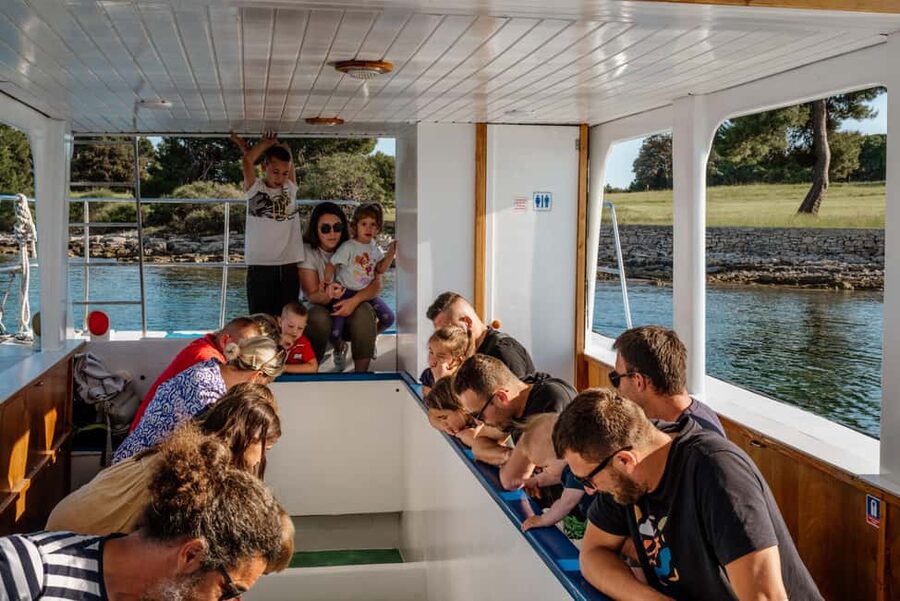 FAŽANA: DOLPHIN SAFARI - Searching for dolphins near Brijuni