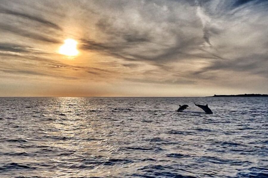 Fazana: dolphin safari and sightseeing in Brijuni at sunset - Leaving Fazana on the Kristina
