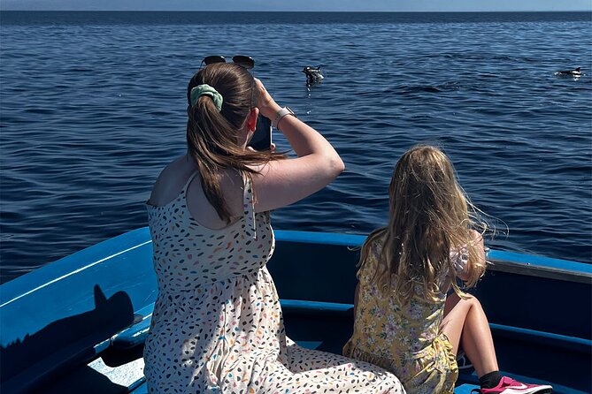 Fishing, Snorkelling & Dolphin Boat Tour - Is $78.44 good value?