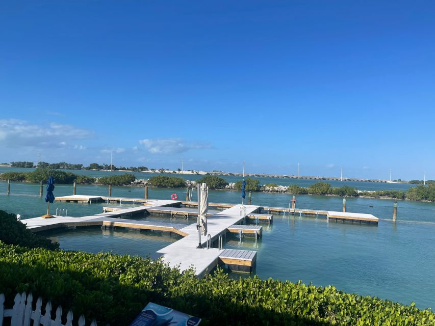 Florida Keys: Dockside Dolphin Experience - Meeting a dolphin without getting in the water