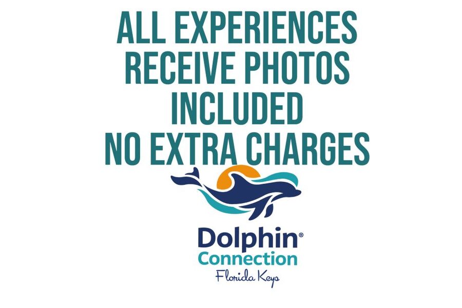 Florida Keys: Dockside Dolphin Experience - What the experience feels like for families
