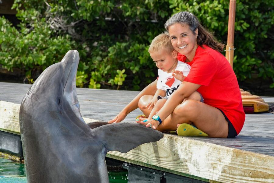 Florida Keys: Dockside Dolphin Experience - How it compares with other Florida Keys outings