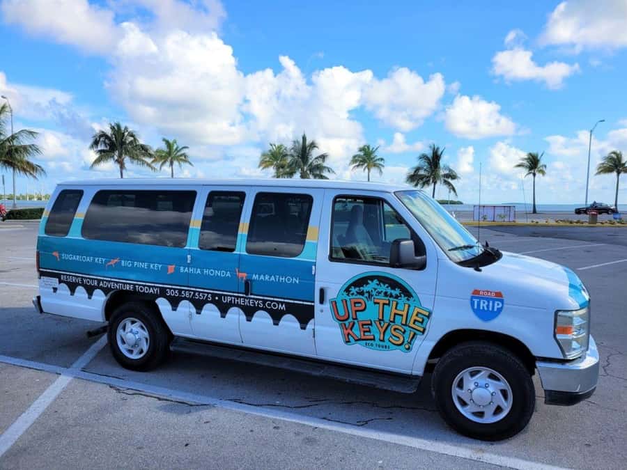 Florida Keys: Dolphin Research Center Day Tour with Lunch - Key points to know before booking