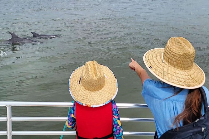 Folly Beach Dolphin Viewing Boat Excursion and Estuary Tour - The estuary is the real classroom