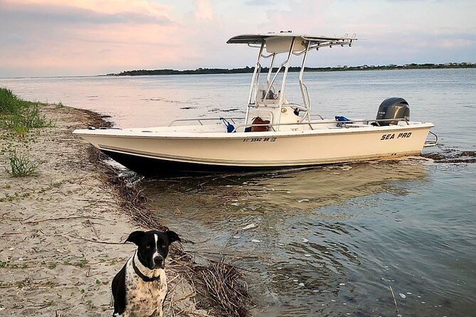 Folly OBX Filming Locations and Pogue Life Boat Tour w/ Dolphins - Cruising behind Folly Beach