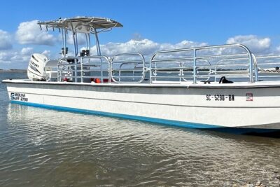 Folly River Dolphin Adventure (options for private or public)