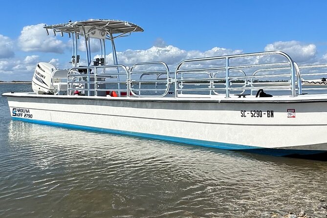 Folly River Dolphin Adventure (options for private or public) - Morris Island and the lighthouse view