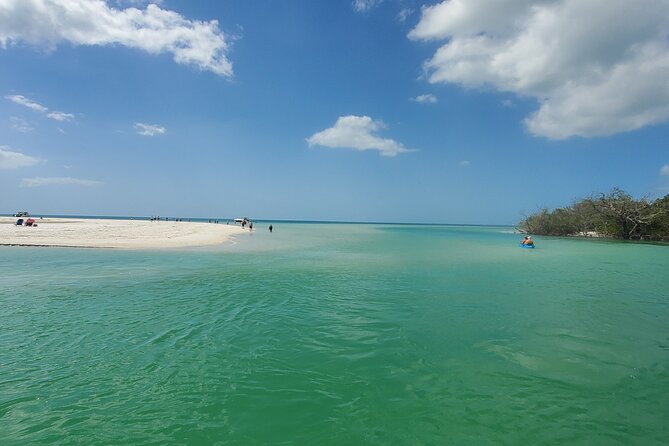 Fort Myers Beach Dolphin & Sightseeing Tour Refreshments Included - What the captains add to the ride