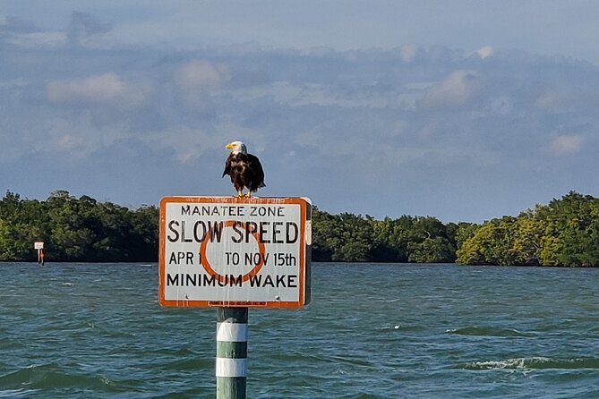 Fort Myers Beach Dolphin & Sightseeing Tour Refreshments Included - Water, soda, and the no-restroom detail
