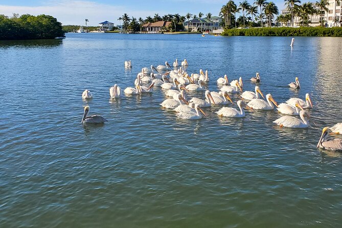 Fort Myers Beach Dolphin & Sightseeing Tour Refreshments Included - Cruising Pelican Bay toward Mound Key