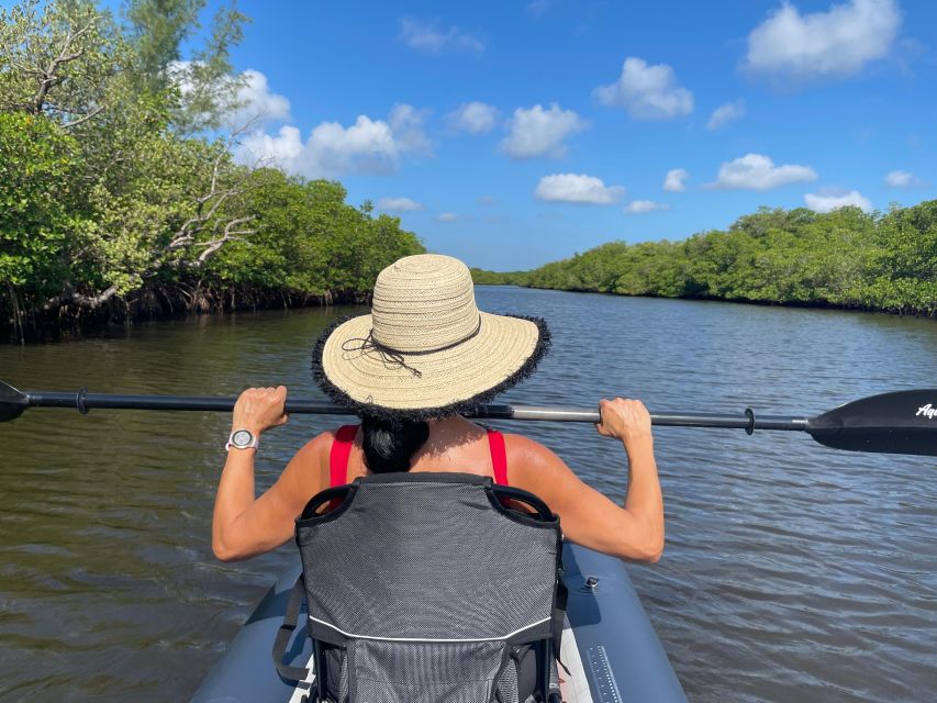 Fort Pierce: 4-hr Mangroves & Dolphin Watch Sandbar in FL - A four-hour route through Fort Pierce’s lagoon