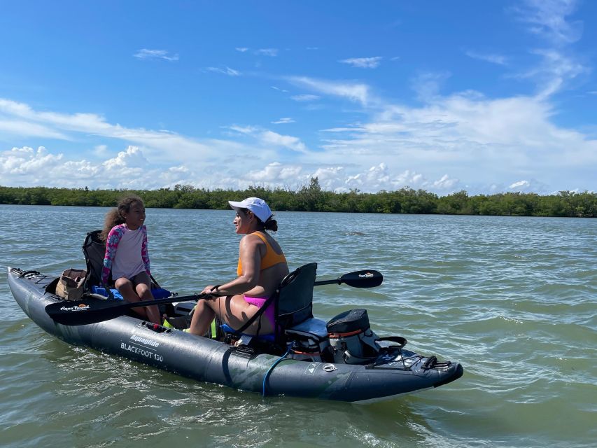 Fort Pierce: 4-hr Mangroves & Dolphin Watch Sandbar in FL - Birds, dolphins, manatees, and the luck of timing