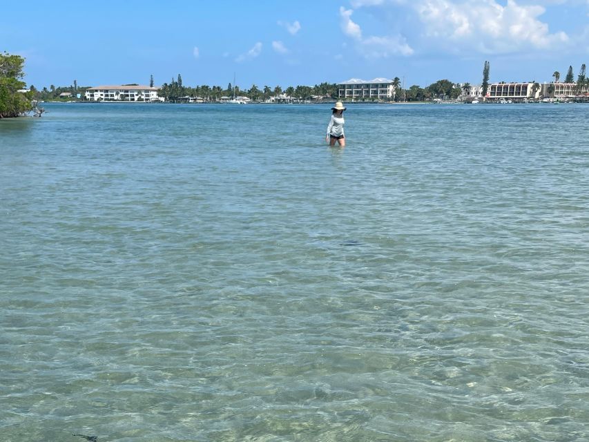 Fort Pierce: 4-hr Mangroves & Dolphin Watch Sandbar in FL - A tidal sandbar stop in the middle of the lagoon