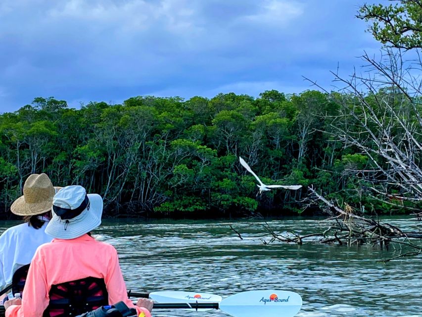 Fort Pierce: 4-hr Mangroves & Dolphin Watch Sandbar in FL - Starting at Pepper Beach Park Riverside Kayak Launch