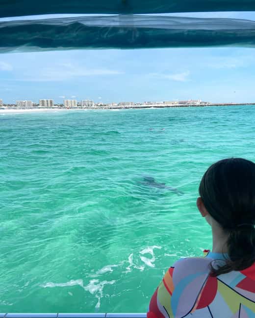 Fort Walton Beach: Emerald Coast 2-hour Dolphin Cruise - What this Fort Walton Beach cruise is really like