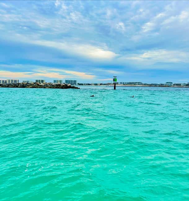 Fort Walton Beach: Emerald Coast 2-hour Dolphin Cruise - Other marine life to watch for