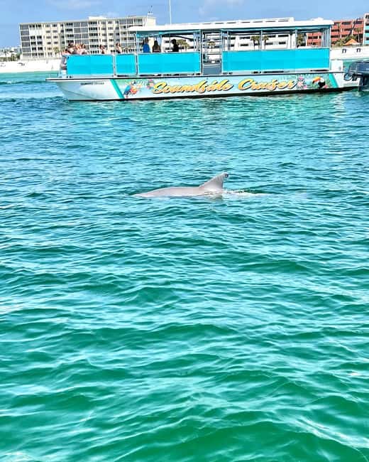 Fort Walton Beach: Emerald Coast 2-hour Dolphin Cruise - Who will enjoy this cruise most