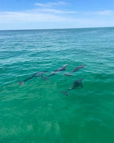Fort Walton Beach: Emerald Coast 2-hour Dolphin Cruise