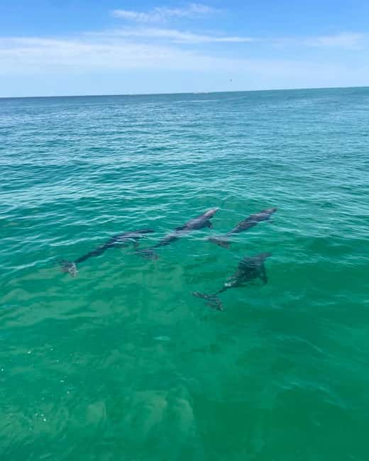Fort Walton Beach: Emerald Coast 2-hour Dolphin Cruise - What to bring and what to leave behind