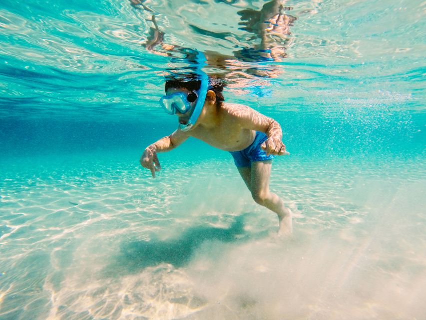 Fort Walton Beach: Morning Dolphin Cruise with Snorkel Stop - Key Details Before You Book